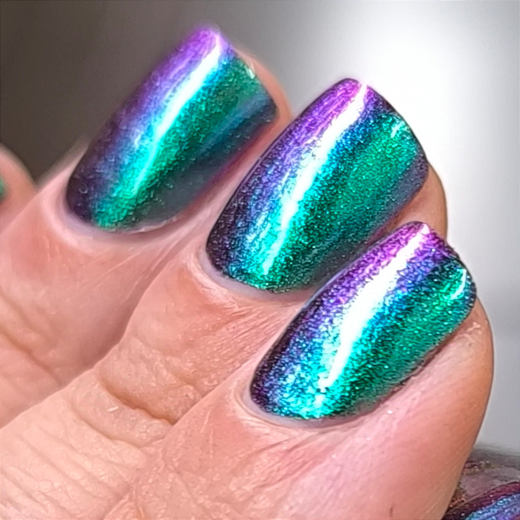 Phoenix - Violet Sabrewing Hummingbird