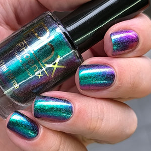 Phoenix - Violet Sabrewing Hummingbird