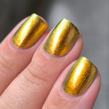 Load image into Gallery viewer, Phoenix - Golden Bellied Starfront let