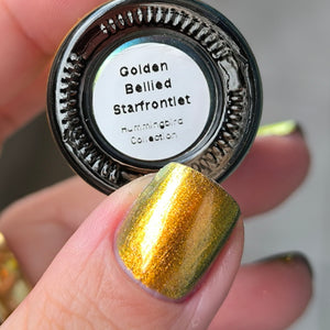 Phoenix - Golden Bellied Starfront let