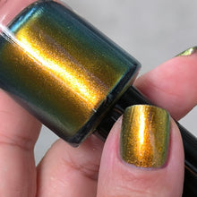Load image into Gallery viewer, Phoenix - Golden Bellied Starfront let