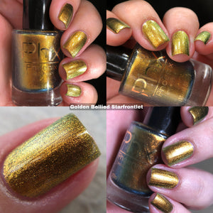 Phoenix - Golden Bellied Starfront let