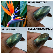 Load image into Gallery viewer, PRE ORDER - Nothing Basic - Bird of Paradise