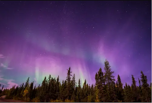 Pepper Polish - Yellowknife