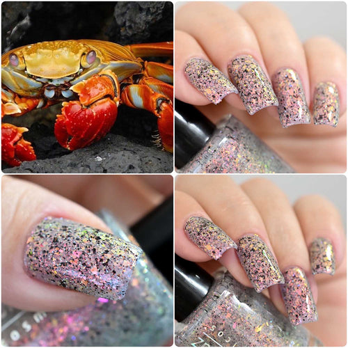 Penélope Luz - Crab, Crab