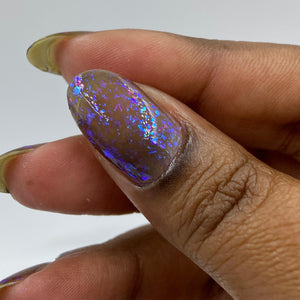 Black Opal