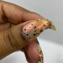Load image into Gallery viewer, PRE ORDER - Arge Moth