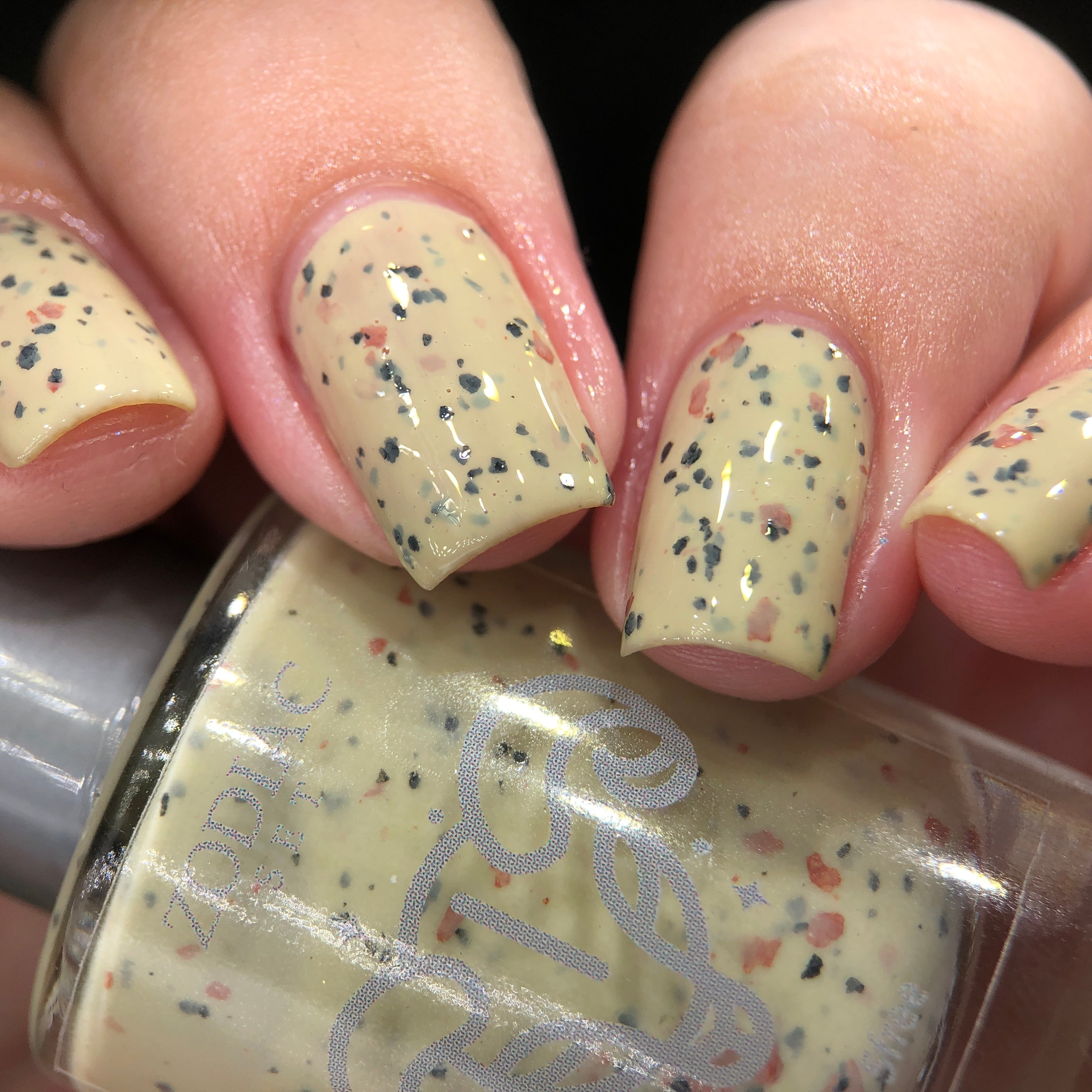 Aries - Dalmatian Jasper