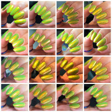 Load image into Gallery viewer, PRE ORDER - Phoenix - Ectoplasm