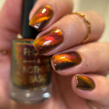 Load image into Gallery viewer, PRE ORDER - Phoenix and NB Collab - The Evidence Box