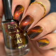 Load image into Gallery viewer, PRE ORDER - Phoenix and NB Collab - The Evidence Box