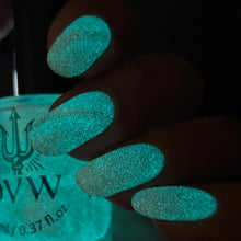 Load image into Gallery viewer, PRE ORDER - DVW - What Belongs to the Sea