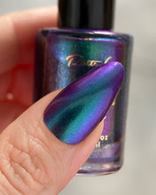 Load image into Gallery viewer, PRE ORDER - Indie by Patty Lopes with Pepper - Beija-flor Tesoura