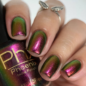 Phoenix - Broad Tiled Hummingbird
