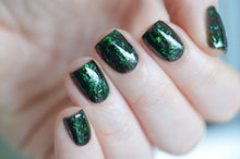 Load image into Gallery viewer, The Wicked Witch