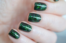 Load image into Gallery viewer, The Wicked Witch