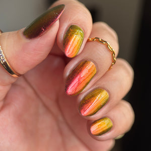 Phoenix - Stripe Tiled Hummingbird