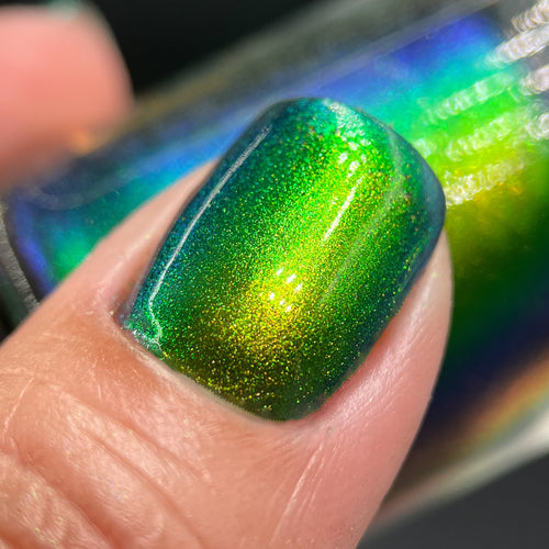 Phoenix - Green Breasted Mango