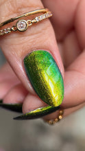 Load image into Gallery viewer, Phoenix - Green Breasted Mango