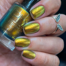 Load image into Gallery viewer, Phoenix - Golden Bellied Starfront let