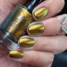 Load image into Gallery viewer, Phoenix - Golden Bellied Starfront let