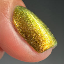 Load image into Gallery viewer, Phoenix - Golden Bellied Starfront let