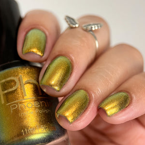 Phoenix - Golden Bellied Starfront let