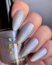 Load image into Gallery viewer, PRE ORDER - Silver Tomorrow