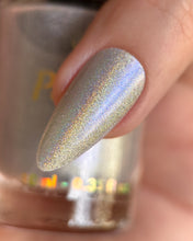 Load image into Gallery viewer, PRE ORDER - Silver Tomorrow