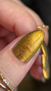 Phoenix - Golden Bellied Starfront let