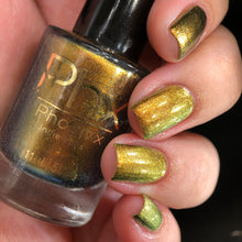 Load image into Gallery viewer, Phoenix - Golden Bellied Starfront let