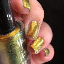 Load image into Gallery viewer, Phoenix - Golden Bellied Starfront let