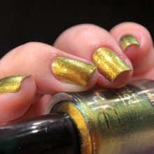 Load image into Gallery viewer, Phoenix - Golden Bellied Starfront let