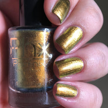 Load image into Gallery viewer, Phoenix - Golden Bellied Starfront let