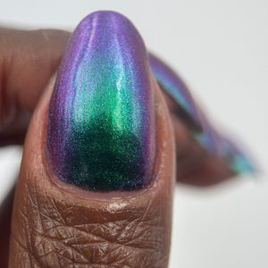 Phoenix - Violet Sabrewing Hummingbird