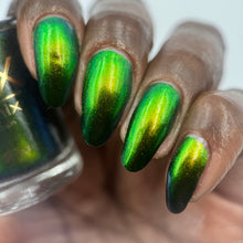 Load image into Gallery viewer, Phoenix - Green Breasted Mango