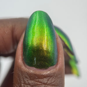 Phoenix - Green Breasted Mango