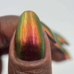 Phoenix - Allen's Hummingbird