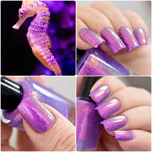Load image into Gallery viewer, PRE ORDER - Penélope Luz - Seahorse