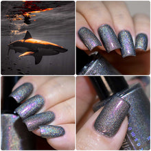 Load image into Gallery viewer, PRE ORDER - Penélope Luz - Shark I'm Scared