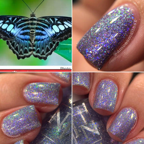 MN Indie Polish - Blue Clipper Butterfly