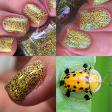 Load image into Gallery viewer, MN Indie Polish - Yellow Tortoise Beetle