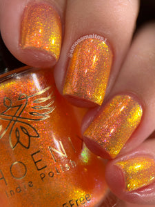 Phoenix - Logon
