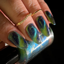 Load image into Gallery viewer, Phoenix - She&#39;s a Genius