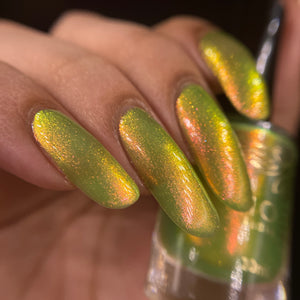 Phoenix - Legolas