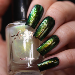 Whatcha - Sunflower Galaxy