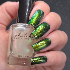 Whatcha - Sunflower Galaxy